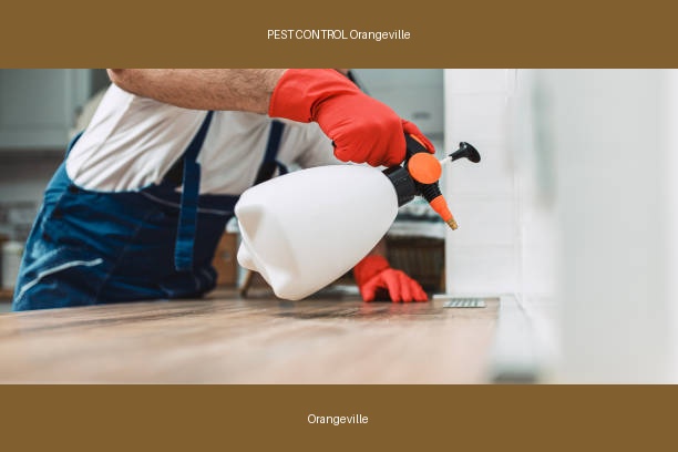PEST CONTROL Orangeville